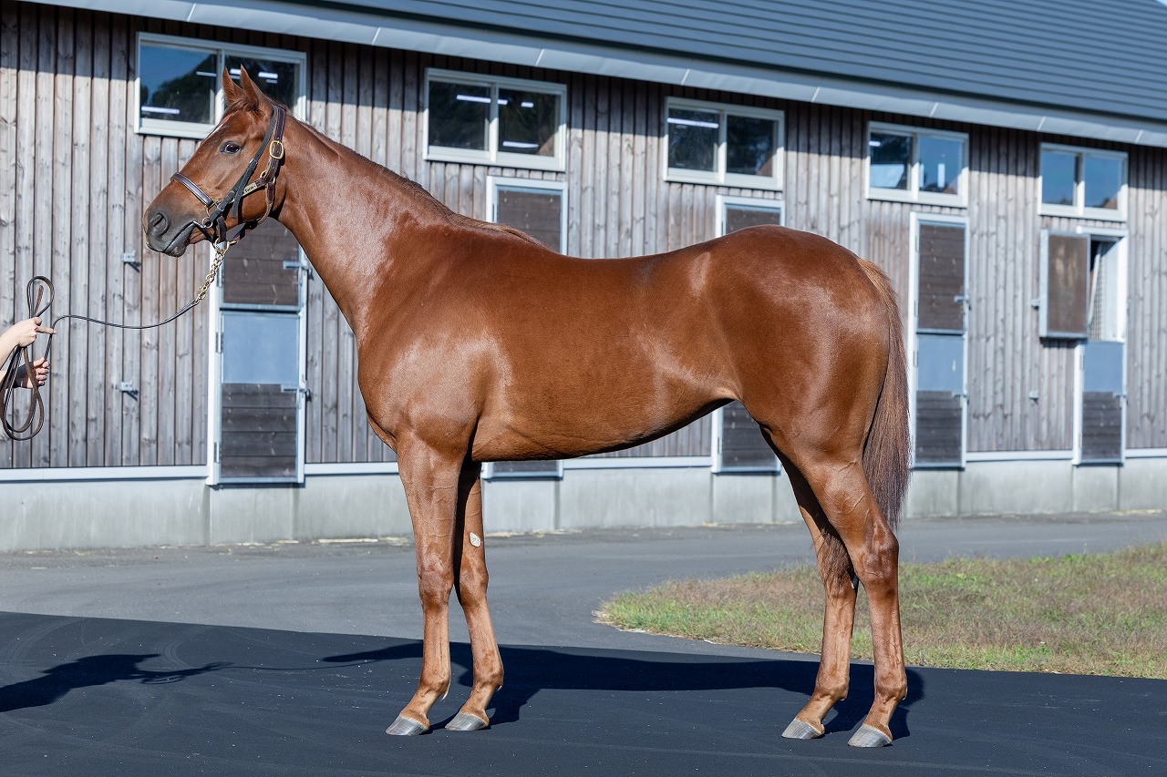 画像サムネイル