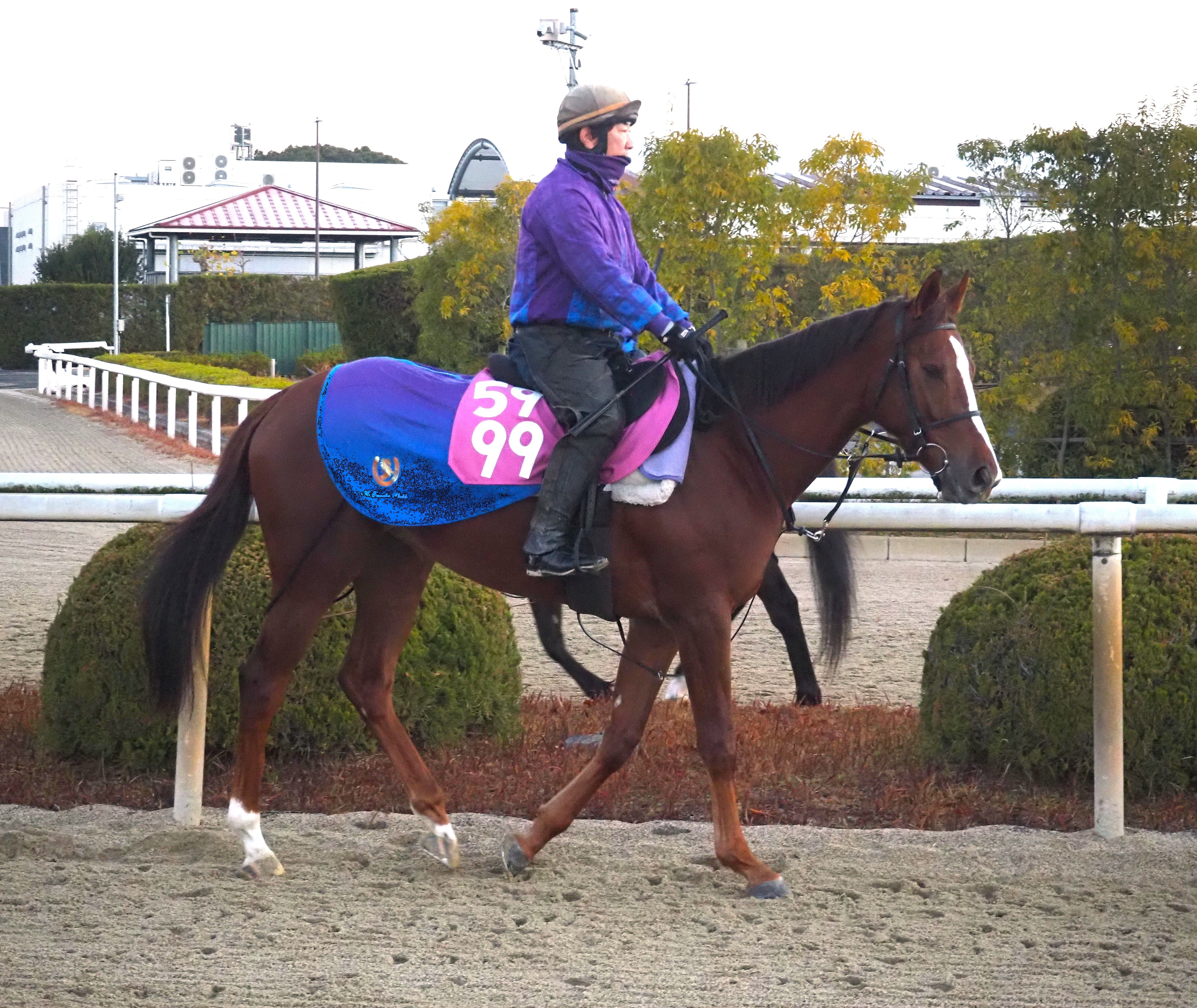 画像サムネイル