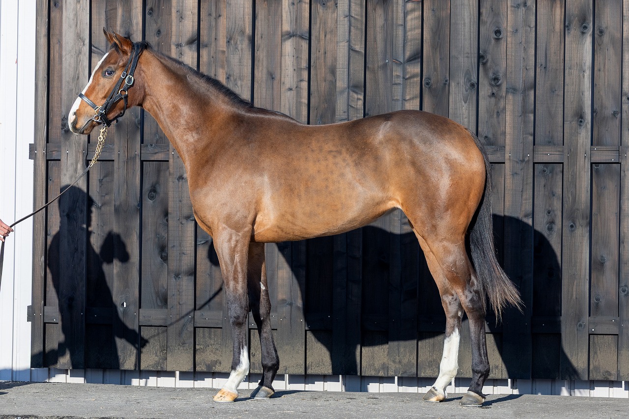 画像サムネイル