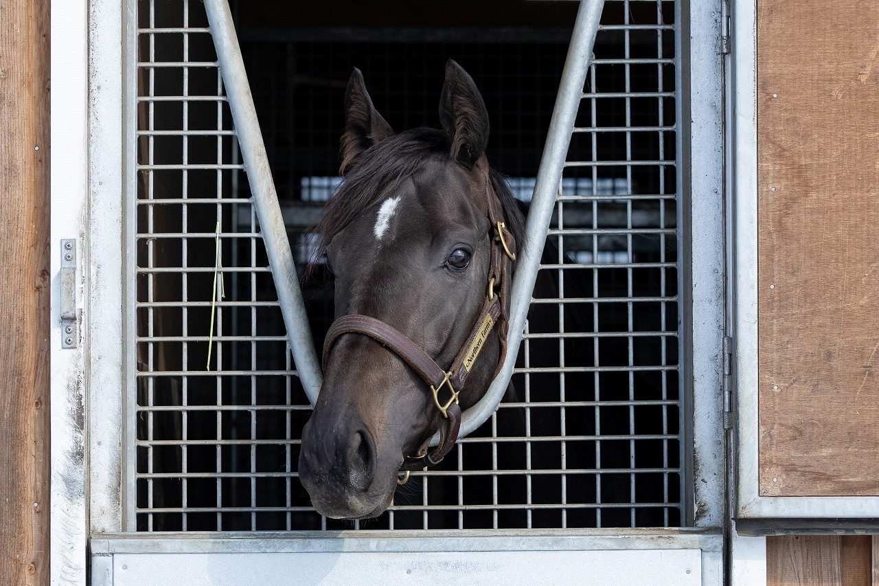 画像サムネイル