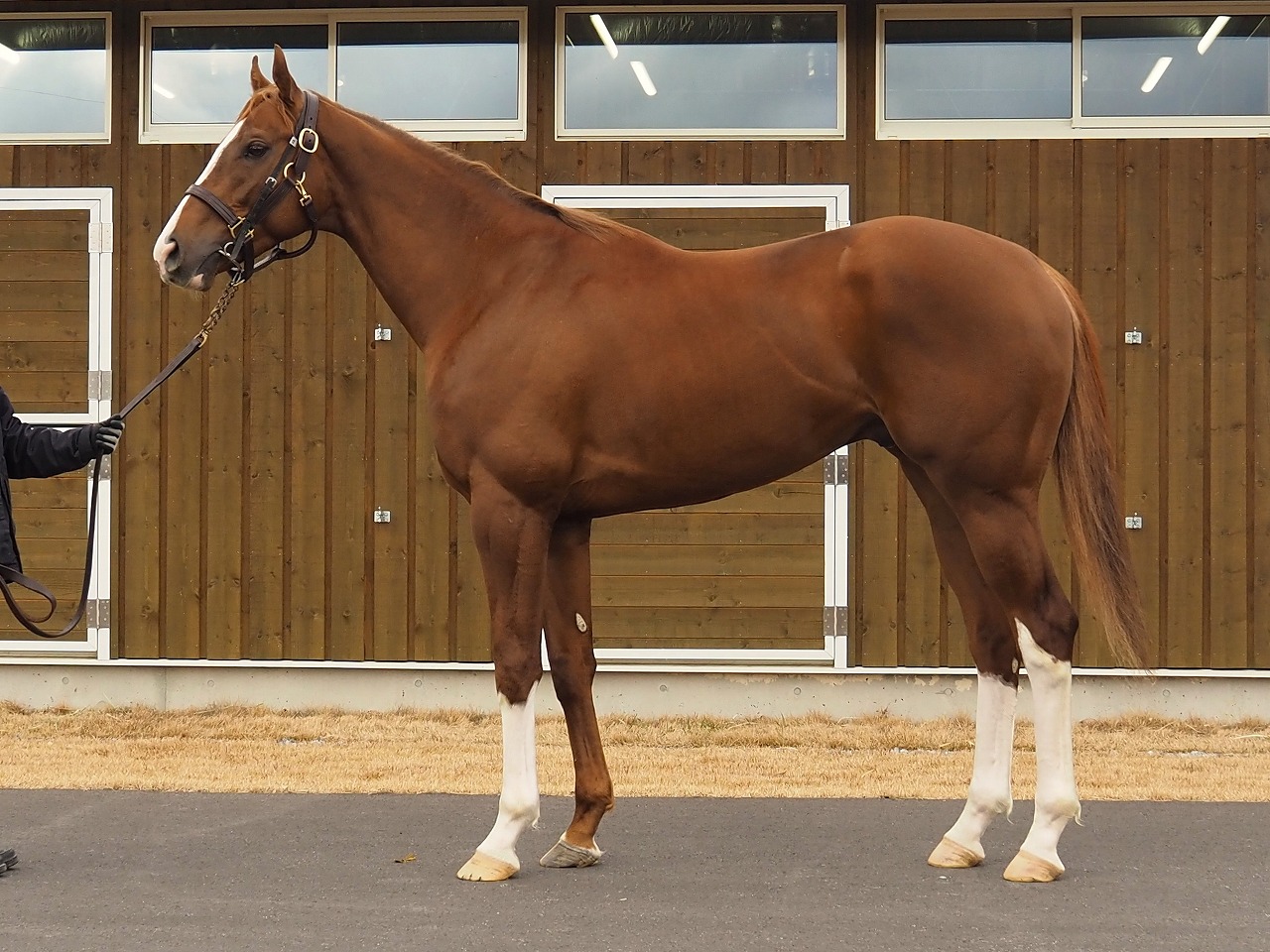 画像サムネイル