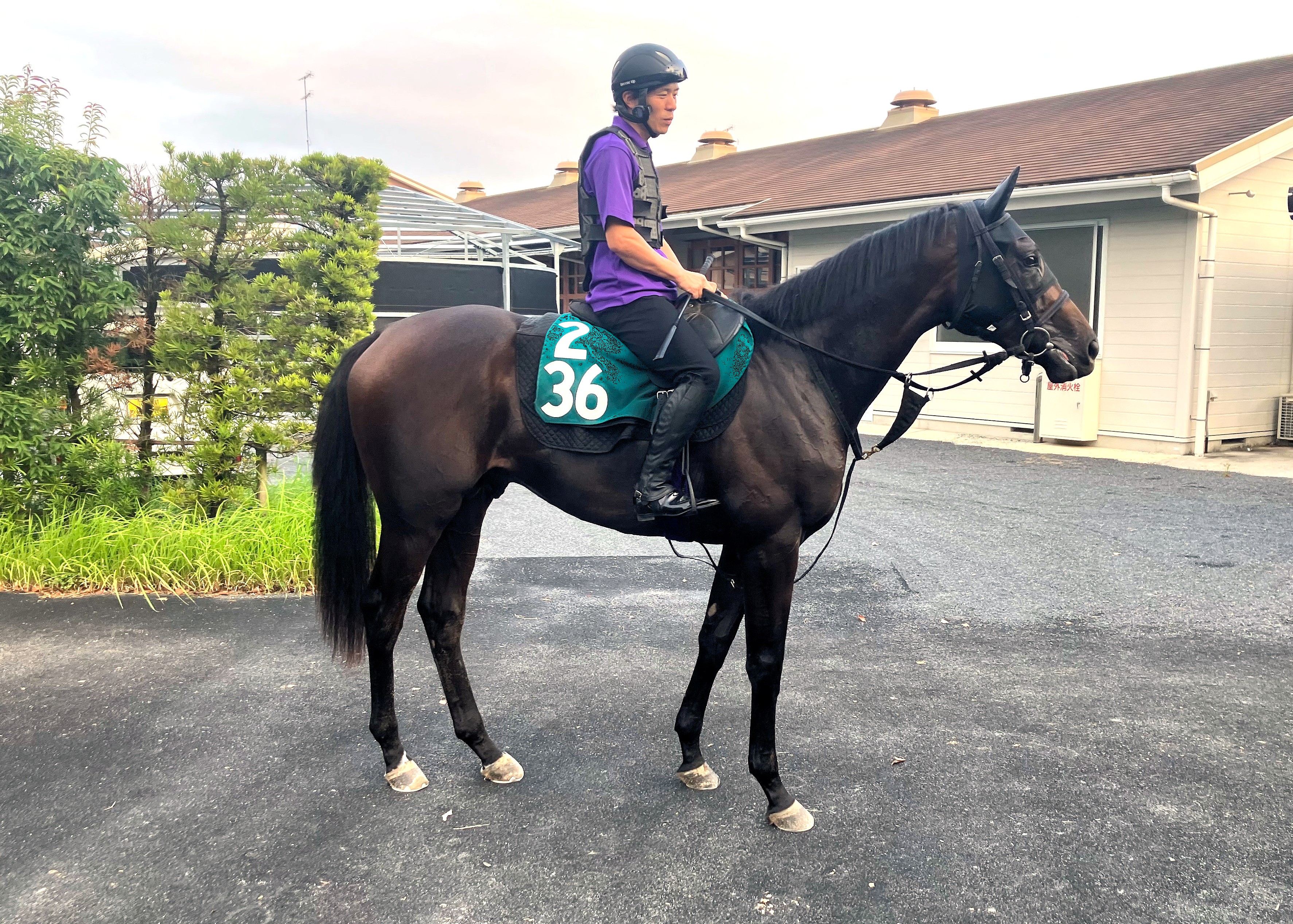 画像サムネイル