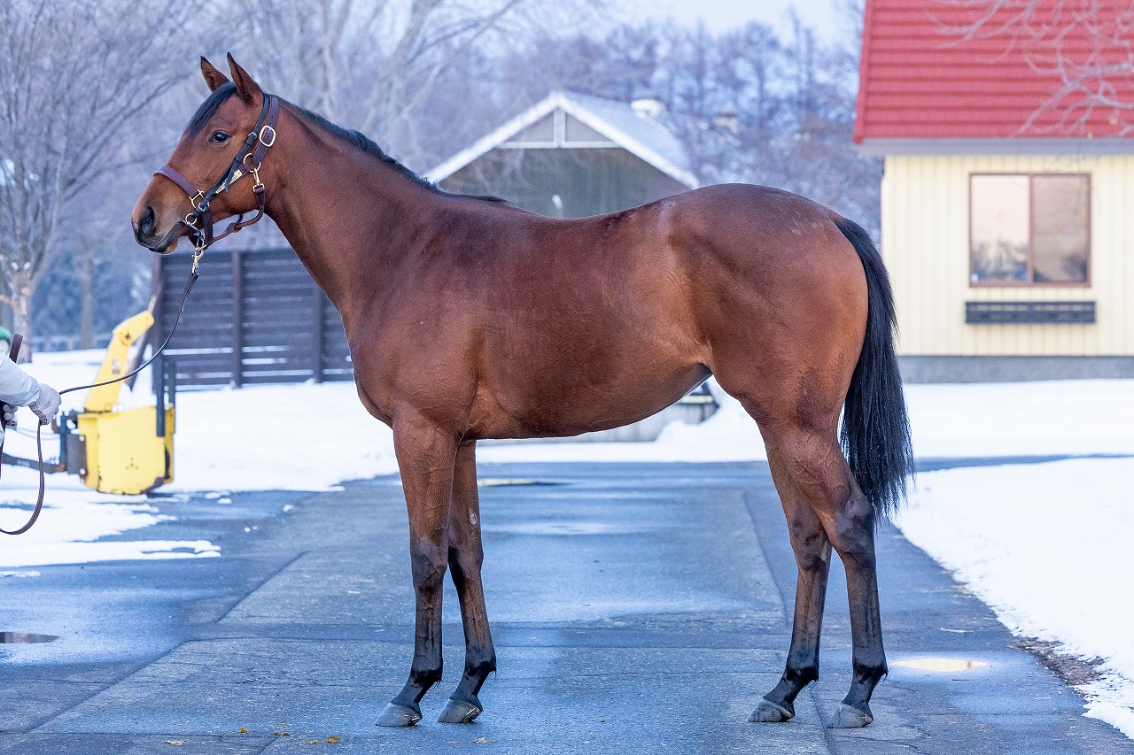 画像サムネイル