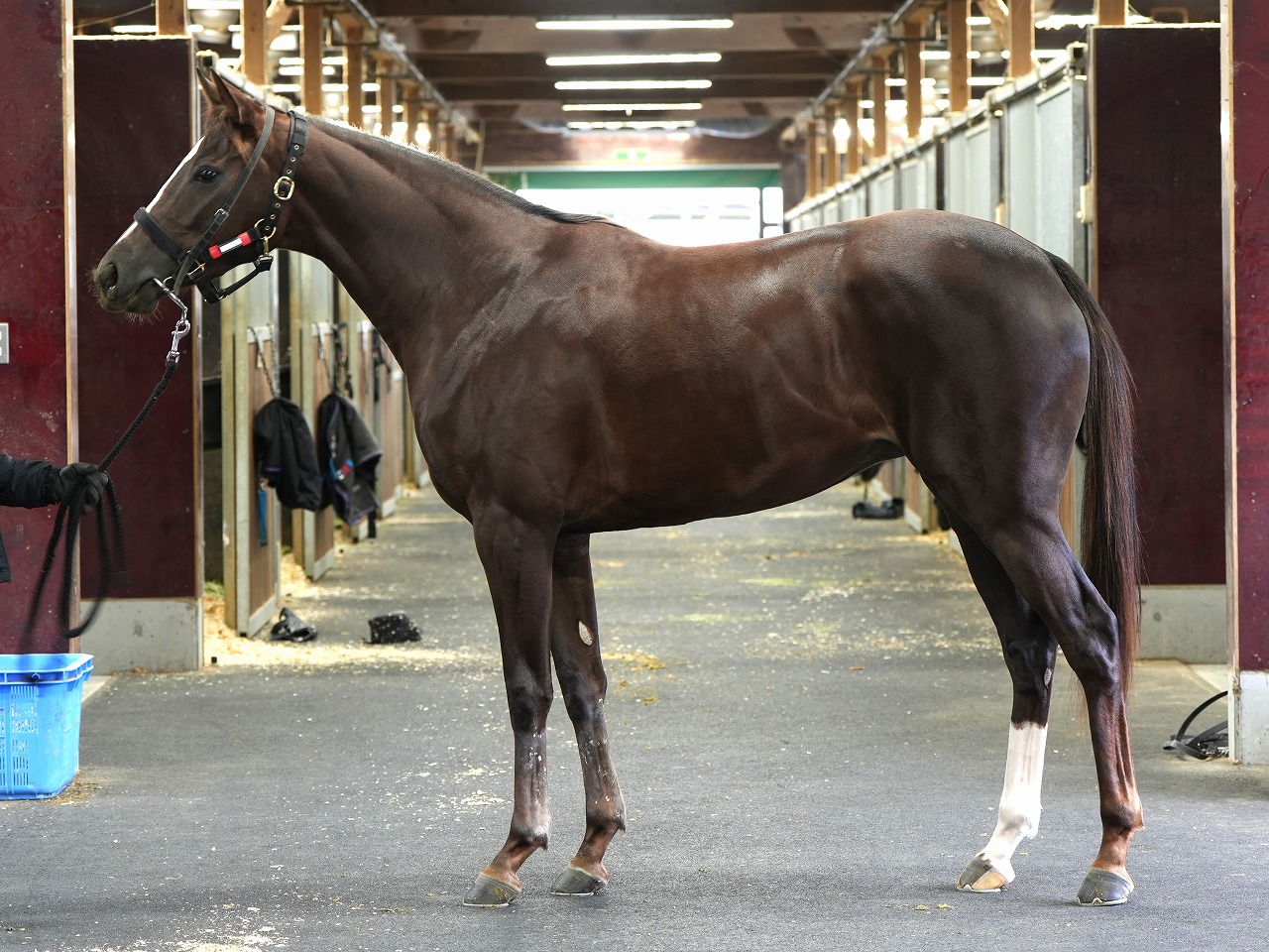 画像サムネイル