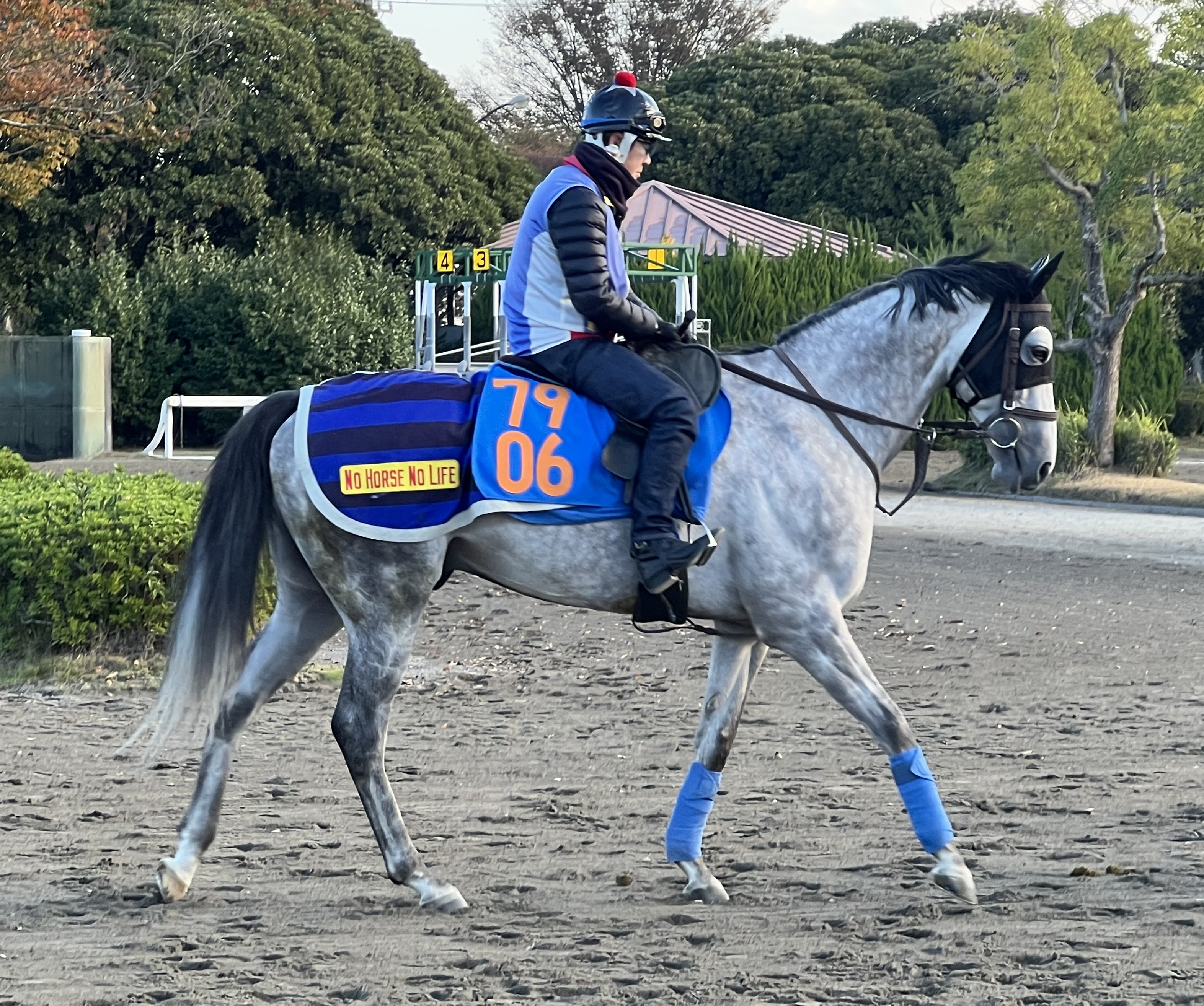 画像サムネイル