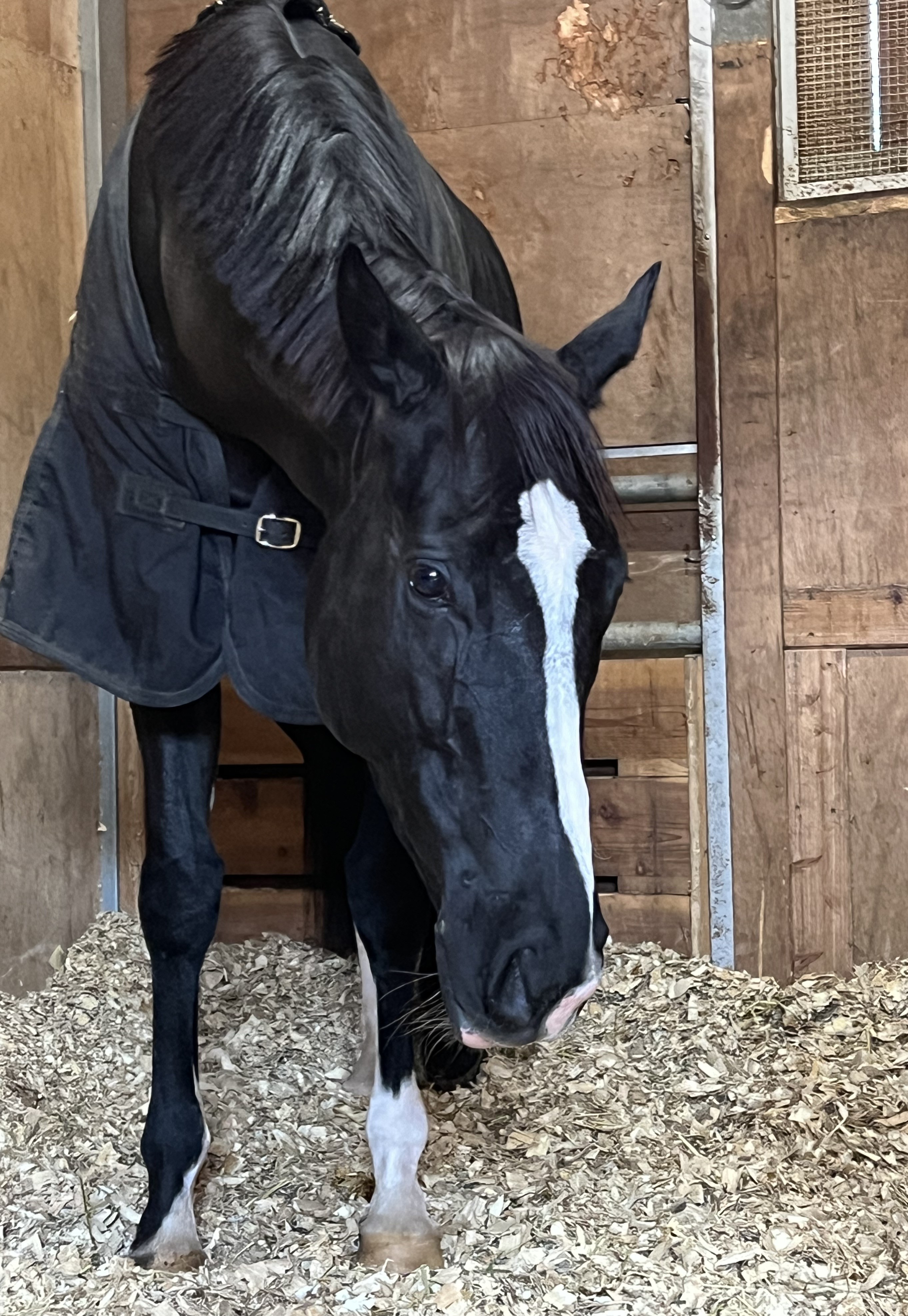 画像サムネイル