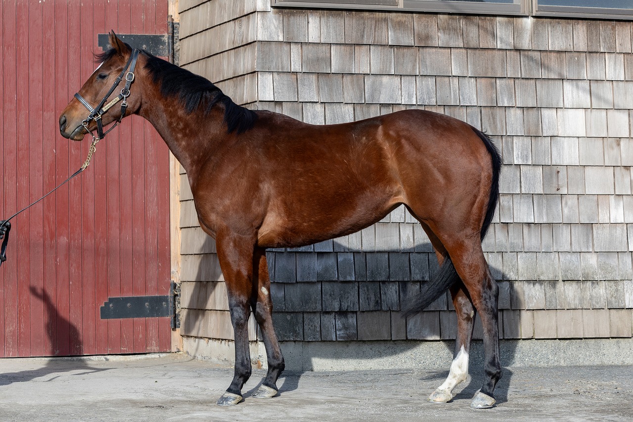 画像サムネイル