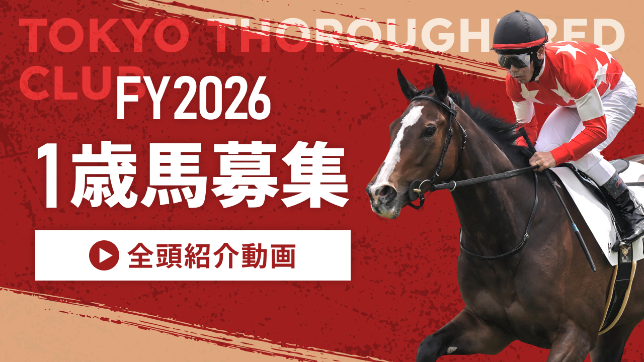 TOKYO THOROUGHBRED CLUB 2026 1歳馬募集 全頭紹介動画