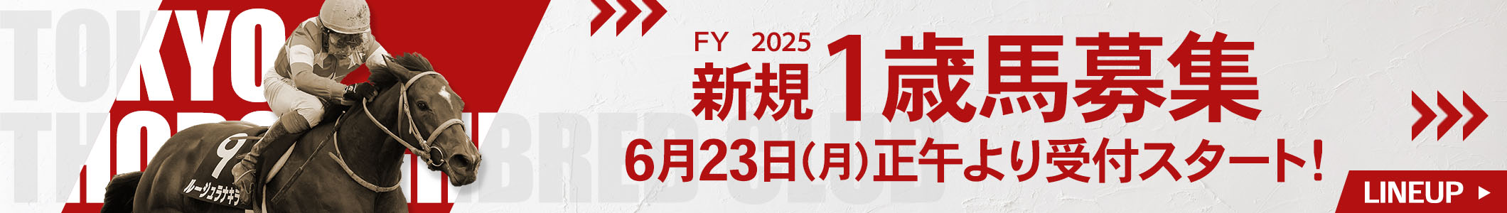 TOKYO THOROUGHBRED CLUB FY2025 新規1歳馬募集 6月23日（月）正午より受付スタート！ LINEUP