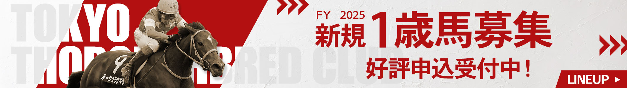 TOKYO THOROUGHBRED CLUB FY2025 新規1歳馬募集 好評申込受付中！ LINEUP